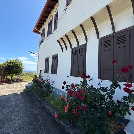 Villatorodon Villa Leptokariá