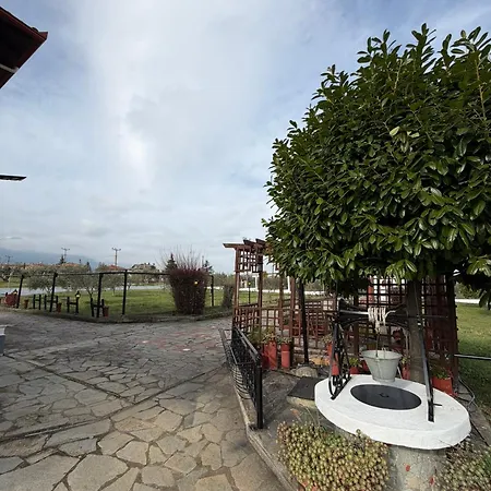 Villatorodon * Leptokaryá