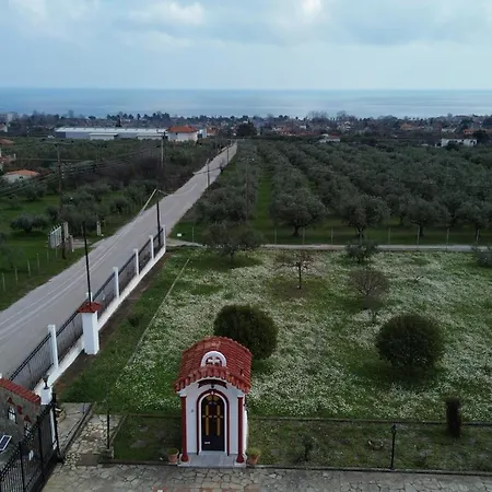 Villatorodon Leptokariá