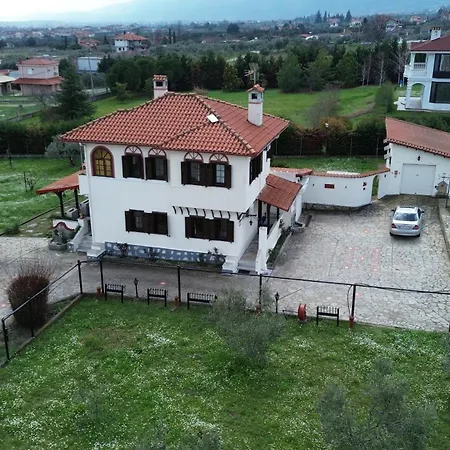 Villa Villatorodon